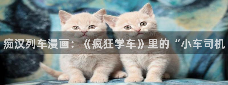 香蕉文化漫画怎么进：痴汉列车漫画：《疯狂学车》里的“小车司机