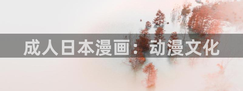 香蕉漫画网站入口：成人日本漫画：动漫文化